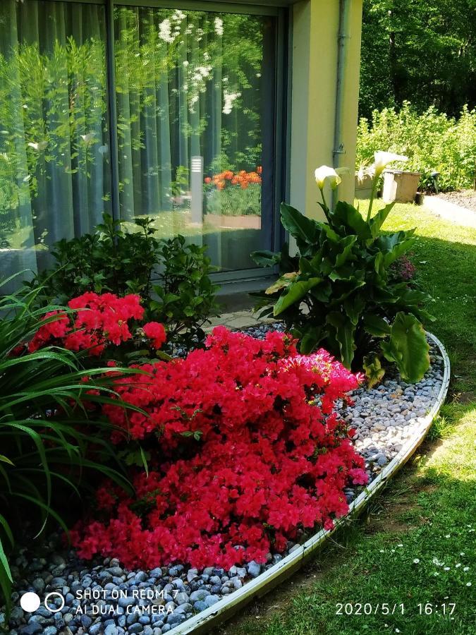 Holly Wood Ault Exterior foto