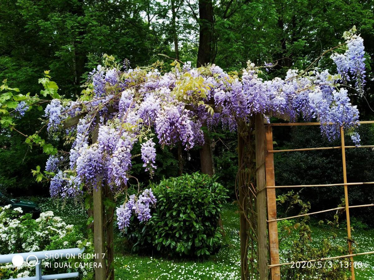 Holly Wood Ault Exterior foto